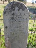 image of grave number 234276